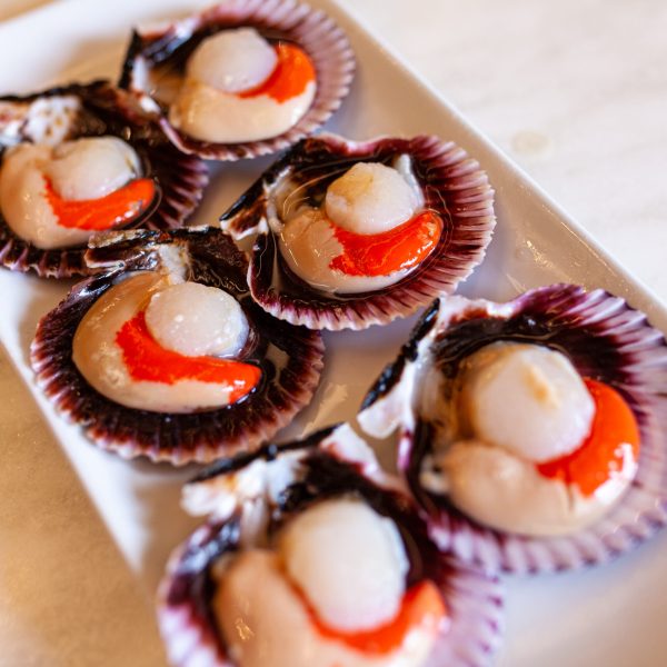 BTL_SESION FOTOGRAFICA_ARGOITIA BARRIA-5224 (1) - Karmele Lorente Argoitia