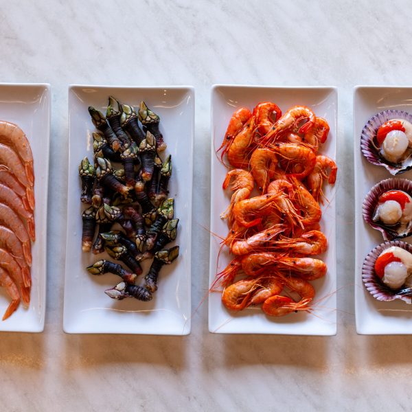 BTL_SESION FOTOGRAFICA_ARGOITIA BARRIA-5235