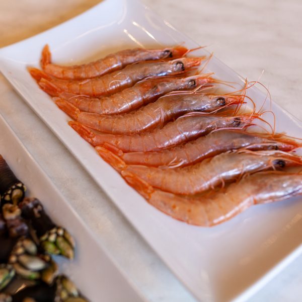 BTL_SESION FOTOGRAFICA_ARGOITIA BARRIA-5240 - Karmele Lorente Argoitia